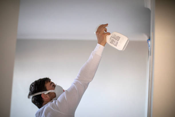 Best Industrial Mold Remediation in Belton, TX