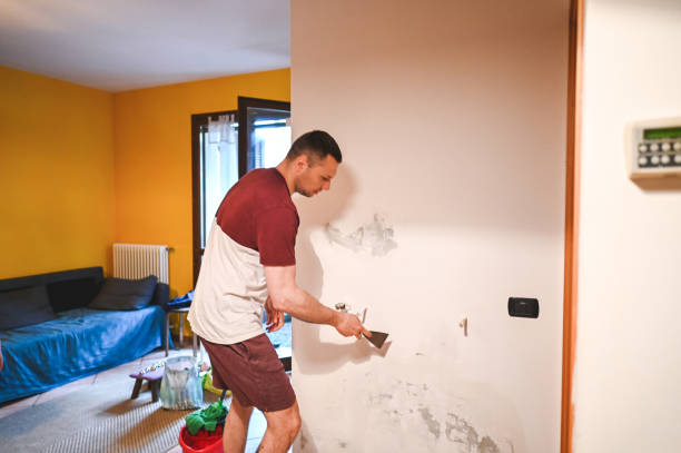 Best Preventive Mold Services in Belton, TX